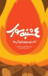 کتاب چهارشنبه‌سوری: آداب و رسوم و خوراکی‌ها نوشته  فیدیبو